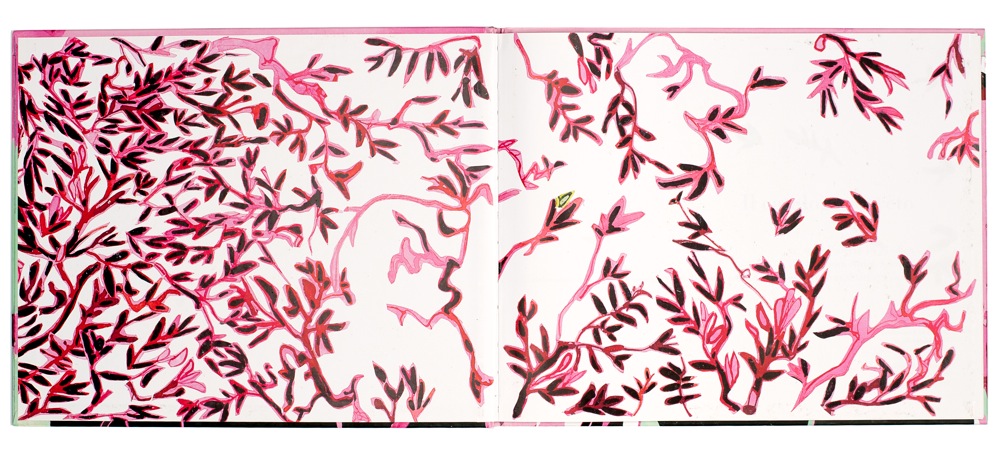 Pasted Graphic 2