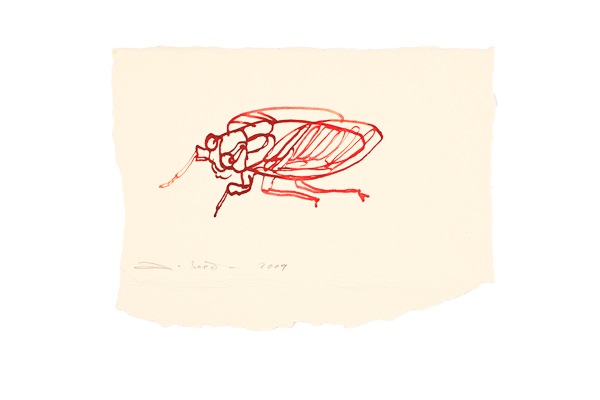 Loading Image