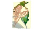 13-maedchen mit vogel