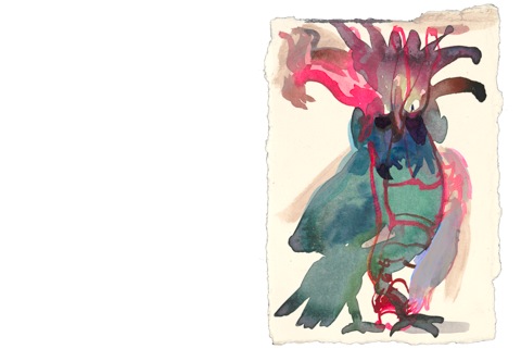 Pasted Graphic 11