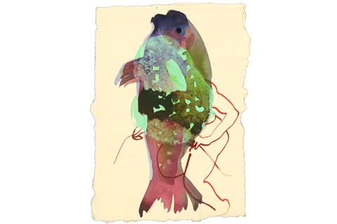Pasted Graphic 27