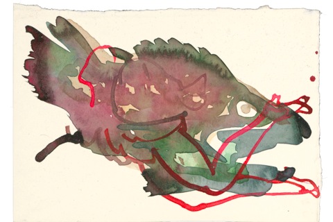 Pasted Graphic 6