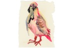 chinoiserie-Taube-web