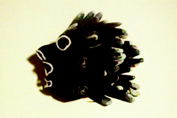 Pasted Graphic 2